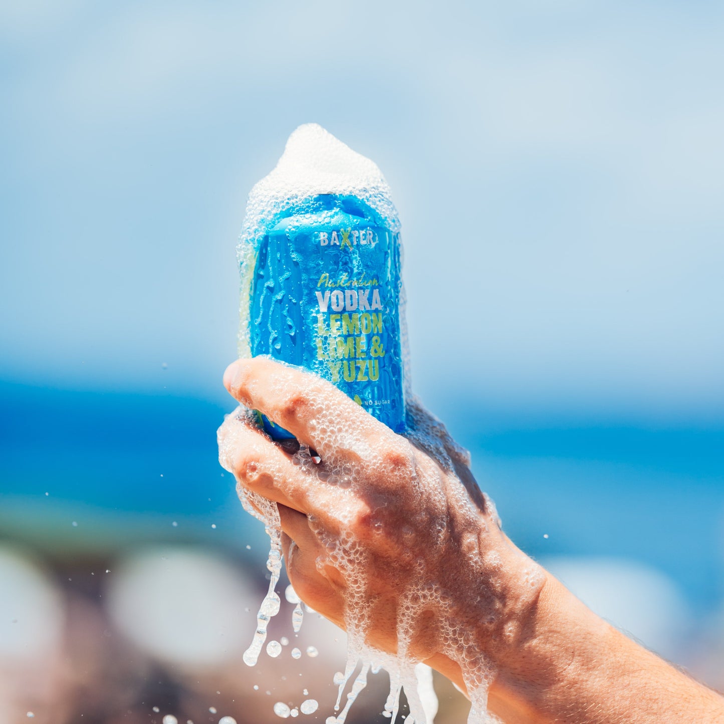 Baxter Vodka Lemon Lime & Yuzu Case (24 pack)